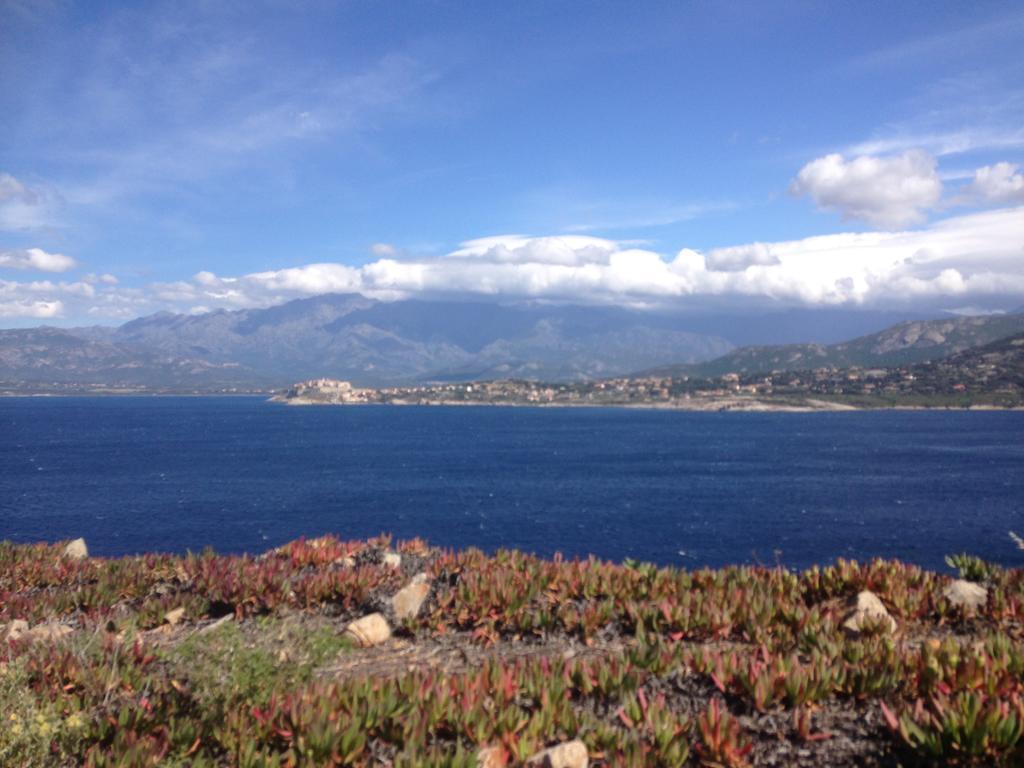 Calvi Appart Hotel Exterior foto